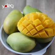ydeg 越南玉芒青芒实发5斤（拍2件）