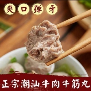 潮兴记 潮汕手打牛肉丸+牛筋丸 1000g