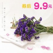 2h送达# 云南直发鲜花速递勿忘我鲜花10枝