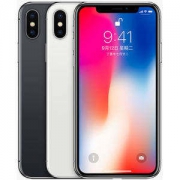 苹果 Apple iPhone X  256G 全网通手机