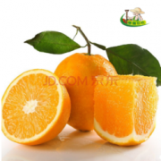 臻瀚伯农 赣南鲜橙 1.25kg  *2