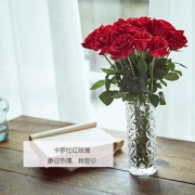 云南直发# 天堂鸟 云南新鲜玫瑰鲜花20支
