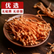 松济堂 虫草花 蛹虫草 250g