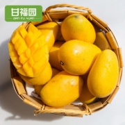 甘福园 海南 小台农芒果 8斤