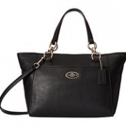 Coach蔻驰Chicago Mini Ellis女士真皮托特包 多色可选