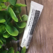Aesop 伊索 玫瑰籽护唇霜 6ml