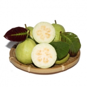 美耕 台湾珍珠芭乐番石榴2.5kg