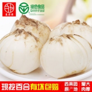 百玉 六年生 兰州新鲜百合 无硫 500g