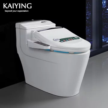 凯鹰 8817 一体即热式坐便器