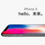 Apple 苹果 iPhone X 256GB