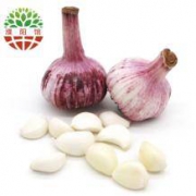 乐润 新鲜紫皮大蒜 2kg