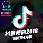 2018 抖音热门歌曲合集 黑胶品质CD