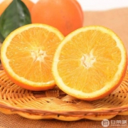 冒个泡 秭归脐橙5斤