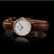 Daniel Wellington 丹尼尔·惠灵顿 时尚女士手表 09DW