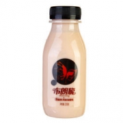 限地区： SANYUAN 三元 布朗旎风味 烧酸奶 255g *25件