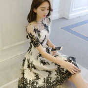 小仙女儿！ 六米斯 春新款女初恋sukol网纱刺绣裙
