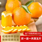 湖北秭归伦晚 脐橙 现摘现发 5斤装