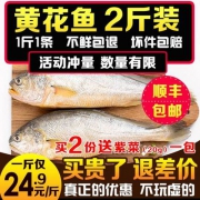 官井一号 宁德深海大黄鱼2条装 1Kg
