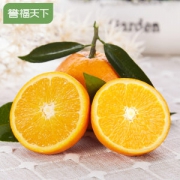 愚夫鲜生 湖北新鲜秭归 5斤装