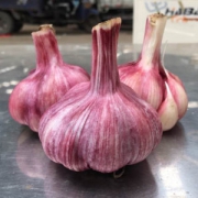 自种新鲜紫皮大蒜5斤
