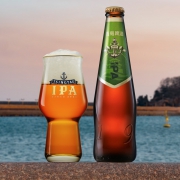 青岛啤酒 IPA新品印度淡色艾尔精酿啤酒 330ml*12瓶整箱