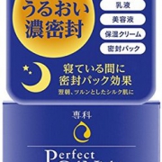 SHISEIDO 资生堂 专科 perfect gel 夜间保湿修复面霜 100g