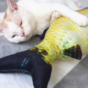 御宠坊  仿真小猫咪抱枕咬牙磨牙草鱼枕