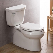 KOHLER 科勒 星玛龙 K-76824T-S-0 五级旋风座便器