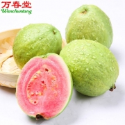 万春堂 广东红心芭乐番石榴 5斤 现摘现发