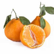 不知火丑柑 6-9个2kg