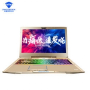 预约：机械师 F117-FG1 15.6英寸游戏笔记本电脑（i7-7700HQ 8G 1TB GTX1050Ti 独显4G）