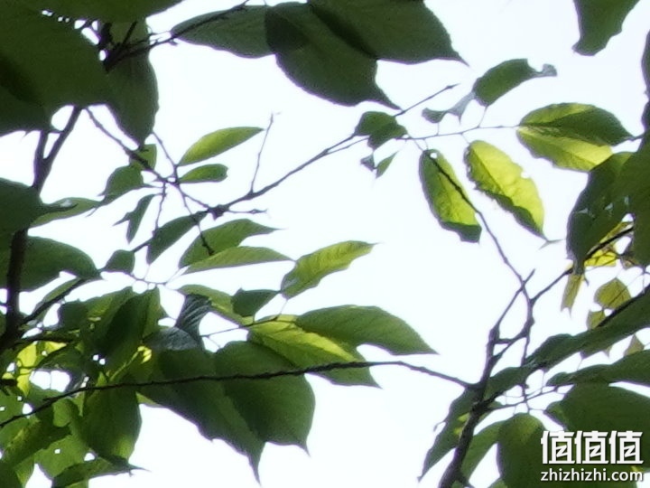 轻巧、高清兼顾！Zeiss 蔡司 Loxia 2.4/25 大光圈广角镜头评测报告