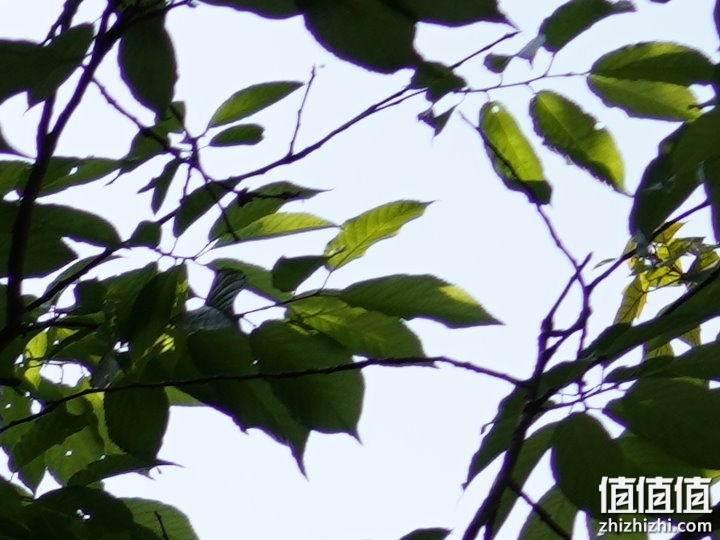 轻巧、高清兼顾！Zeiss 蔡司 Loxia 2.4/25 大光圈广角镜头评测报告