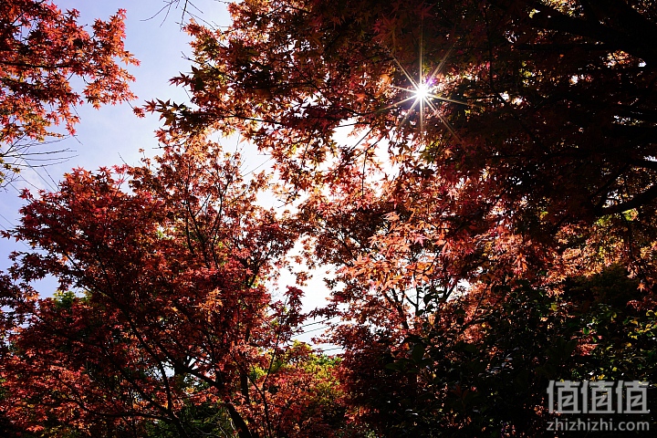 轻巧、高清兼顾！Zeiss 蔡司 Loxia 2.4/25 大光圈广角镜头评测报告