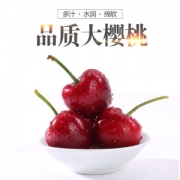 预售 韩老大 新鲜山东车厘子 3斤装