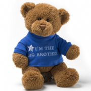 柔软不掉毛！GUND Baby 穿衣小熊“ I'm The Big Brother”款 12英寸（30cm） 87.5元包邮（需用码）