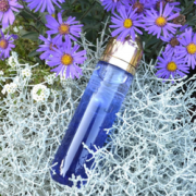 国内￥1870！GUERLAIN 娇兰 御廷兰花卓能焕活晚间精华露 125ml