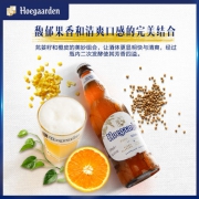 百威英博 比利时福佳白啤酒 500ml*24听