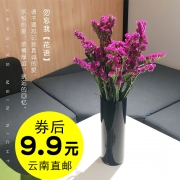 御见 勿忘我花束 需用券，大白菜