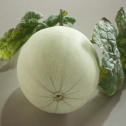 樵夫农场 南汇冰岛玉菇甜瓜4.5斤