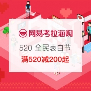520 全民表白节
