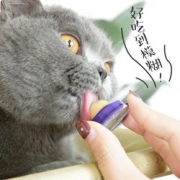 HANPIN－PETS 猫糖舔舔乐 6元包邮（需用券）