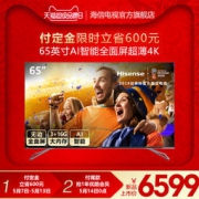 Hisense 海信 H65E72A 65英寸4K高清智能液晶AI电视机