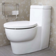 KOHLER 科勒 K-17629T-SM-0 欧芙连体马桶座便器