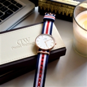 Daniel Wellington 丹尼尔惠灵顿0505DW 女款石英腕表