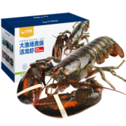 历史新低： 大渔场 波士顿龙虾 保活 6Kg/只