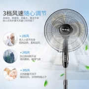 Singfun 先锋 FS40-11G 落地扇