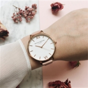 文艺小清新，Olivia Burton WHITE BIG DIAL 女士英伦时尚腕表 4色