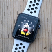 苹果 APPLE WATCH NIKE+ SERIES 3 GPS+ 蜂窝网络 42MM 两色