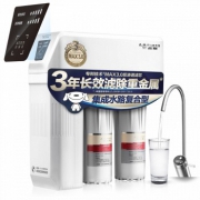 A.O.Smith史密斯 家用净水器 即滤无桶1.1升大流量